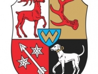 Strona miasta Żary